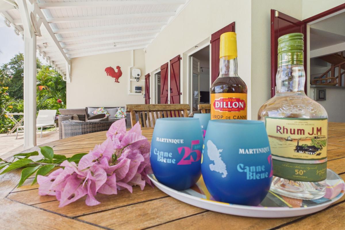 Location villa 6 personnes martinique pot acceuil